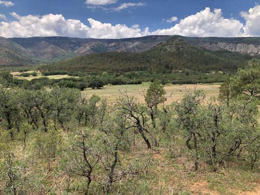 CR A034 WILLIAMS CANYON 62 ACRES, GUADALUPITA, NM 87722, photo 3 of 25