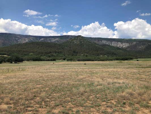 CR A034 WILLIAMS CANYON 62 ACRES, GUADALUPITA, NM 87722, photo 5 of 25