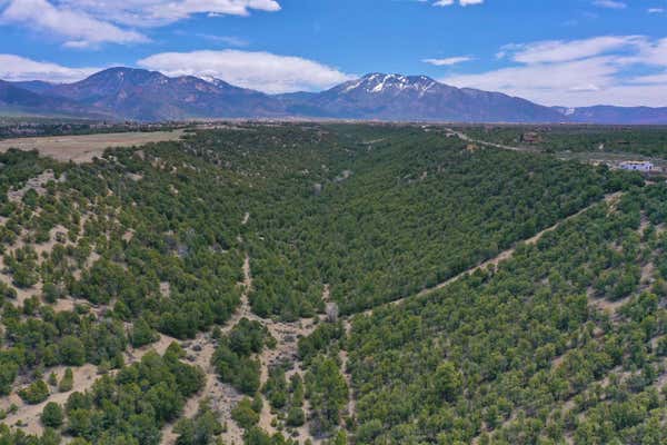 0 CANYON OF THE WOODS OFF HONDO SECO ROAD, ARROYO SECO, NM 87514, photo 3 of 13