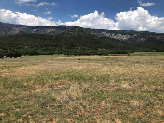 CR A034 WILLIAMS CANYON 62 ACRES, GUADALUPITA, NM 87722, photo 4 of 25