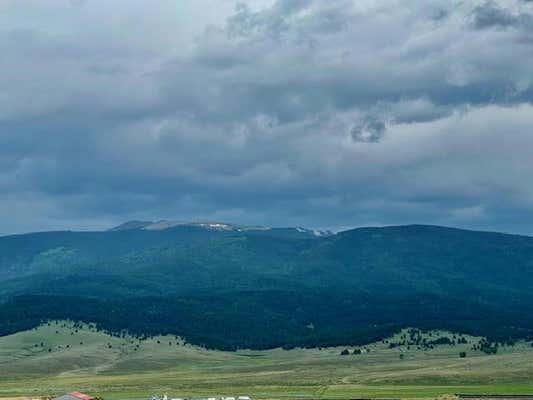 33 AND 34 SOARING EAGLE, EAGLE NEST, NM 87718 - Image 1