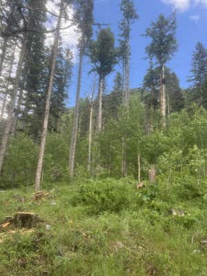 LOT 3A TWINING, TAOS SKI VALLEY, NM 87525, photo 5 of 24