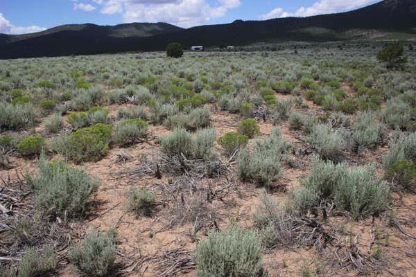 LOTS 7 AND 8 SHIRLEY DRIVE, QUESTA, NM 87556 - Image 1