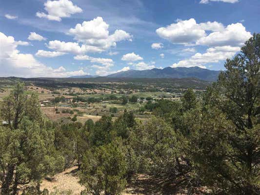 1 PT 4 MILES ACEQUIA MADRE DEL LLANO B006, ARROYO HONDO, NM 87513, photo 3 of 3