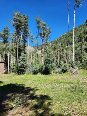 9 JOHN BURROUGHS TRL, TAOS SKI VALLEY, NM 87525 - Image 1