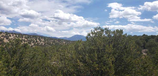 LOT L14 SANDIA CANYON ROAD, ARROYO HONDO, NM 87513 - Image 1