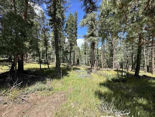 10 ALPINE LAKE TER, ANGEL FIRE, NM 87710 - Image 1