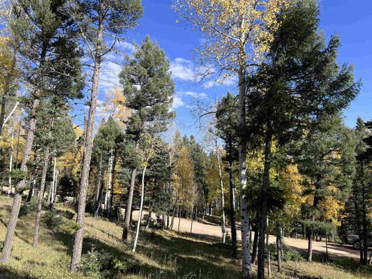 LOT 1157 COCHITI TRAIL, ANGEL FIRE, NM 87710 - Image 1