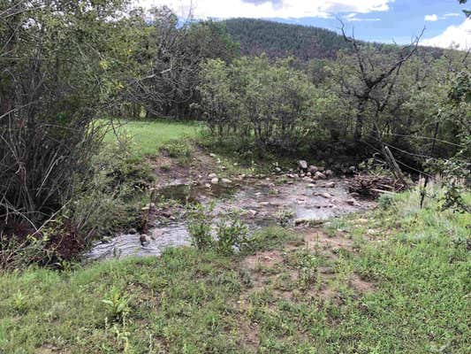 CR A034 WILLIAMS CANYON 62 ACRES, GUADALUPITA, NM 87722, photo 2 of 25