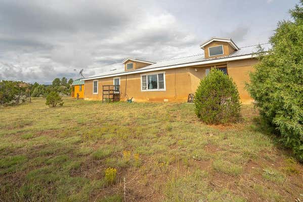 20 CALLE DE GOLONDRINA S, TRES PIEDRAS, NM 87577 - Image 1