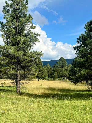 5 PINON CIR, ANGEL FIRE, NM 87710 - Image 1