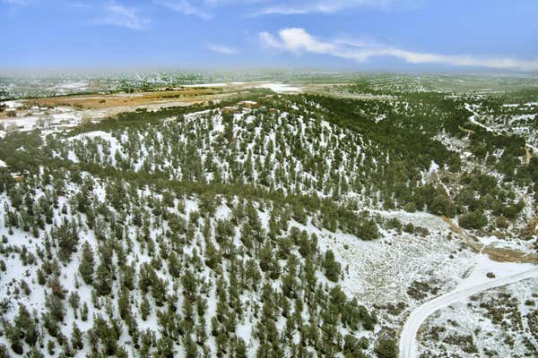 TBD TREMENTINA TRAIL, ARROYO HONDO, NM 87513 - Image 1