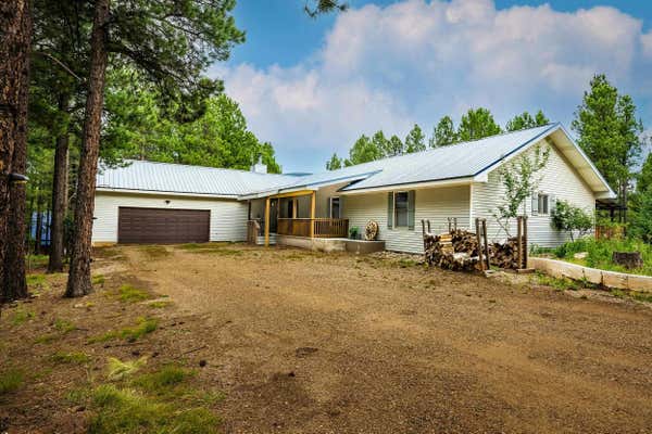 19 CONCHAS DR, ANGEL FIRE, NM 87710 - Image 1