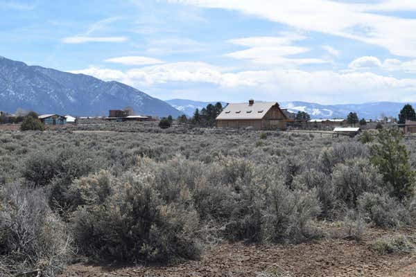 TRACTS B1 B2 B3 ALMAS ROAD, TAOS, NM 87514, photo 2 of 12