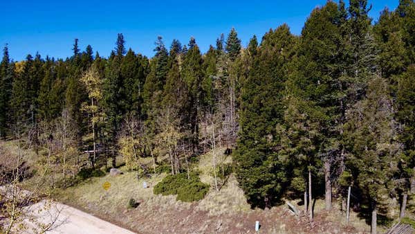 LOT 1500 VISTA DEL SUR, ANGEL FIRE, NM 87710 - Image 1