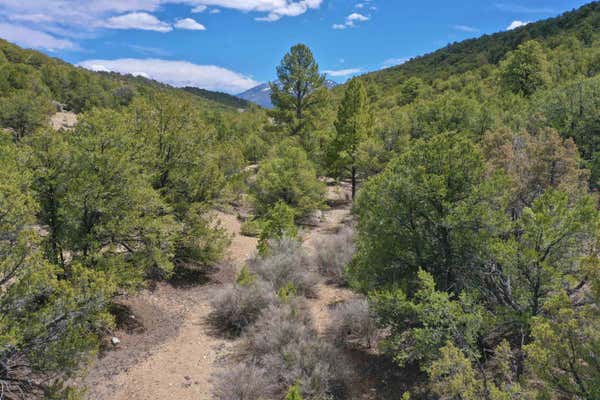 0 CANYON OF THE WOODS OFF HONDO SECO ROAD, ARROYO SECO, NM 87514, photo 4 of 13