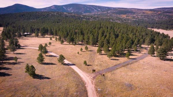 14 ACRES SHIELDS AREA, BLACK LAKE, NM 87710 - Image 1