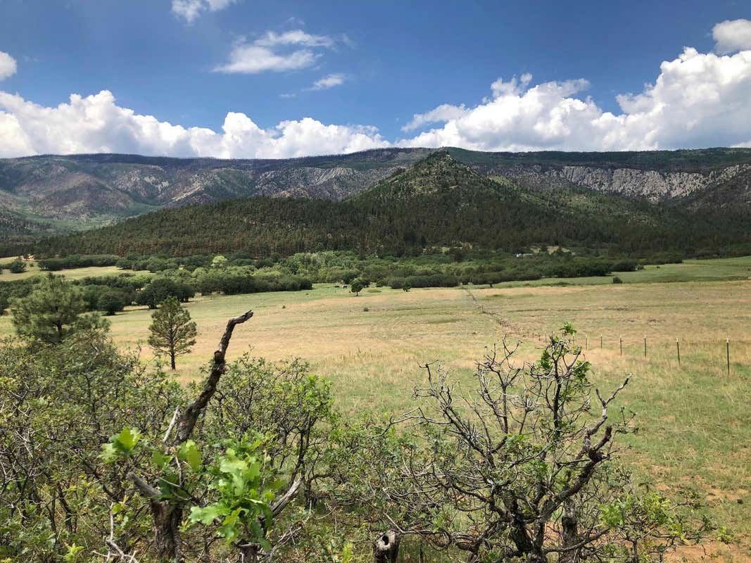 CR A034 WILLIAMS CANYON 62 ACRES, GUADALUPITA, NM 87722, photo 1 of 25