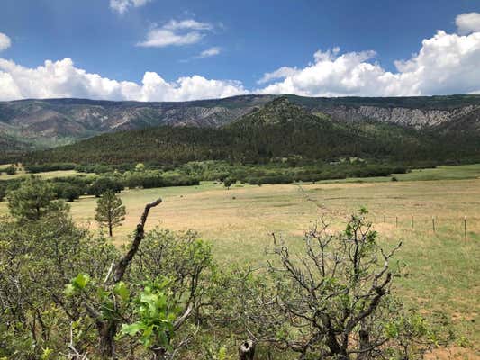 CR A034 WILLIAMS CANYON 62 ACRES, GUADALUPITA, NM 87722 - Image 1