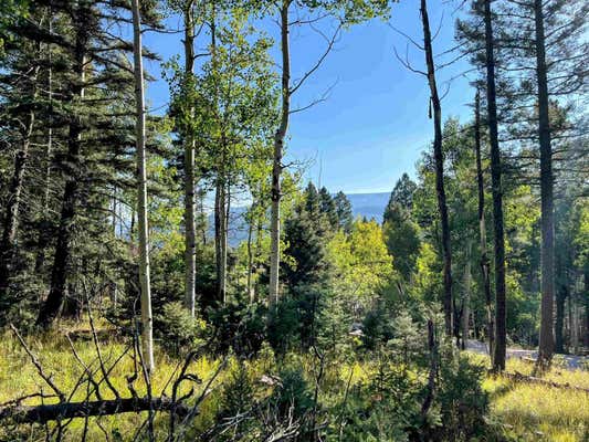 86 KIOWA CIR, ANGEL FIRE, NM 87710 - Image 1