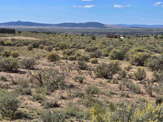 TRACT 1 C MESA SEA ROAD, ARROYO HONDO, NM 87513 - Image 1