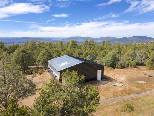 TRACT B FOREST ROAD 493, LAMA, NM 87556 - Image 1