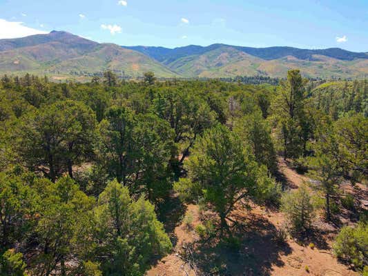 TRACT A FOREST ROAD 493, LAMA, NM 87556 - Image 1