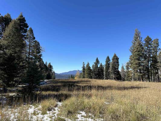 LOT 1248 EL CAMINO REAL, ANGEL FIRE, NM 87710 - Image 1