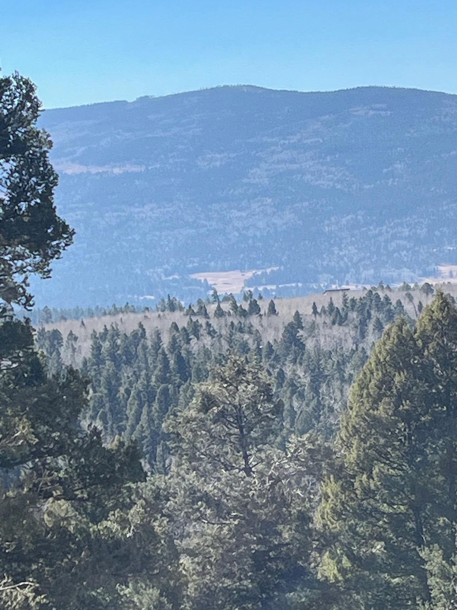 Angel Fire, New Mexico, 87710, United States, 4 Bedrooms Bedrooms, ,3 BathroomsBathrooms,Residential,Active,1945539