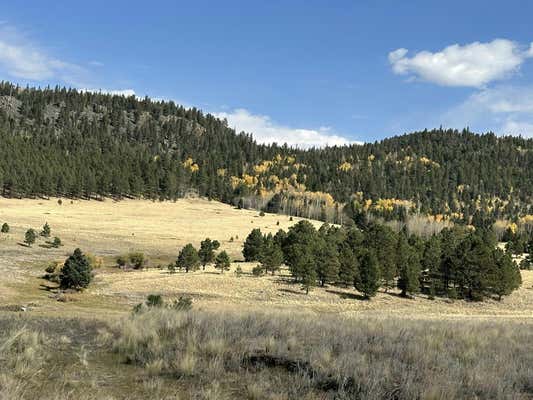 NM120, ANGEL FIRE, NM 87710 - Image 1