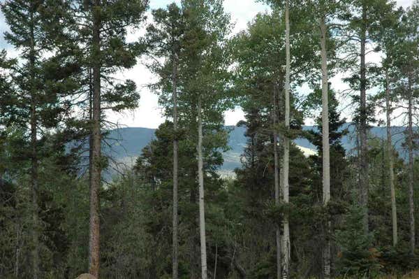 104 ZIA RD, ANGEL FIRE, NM 87710 - Image 1