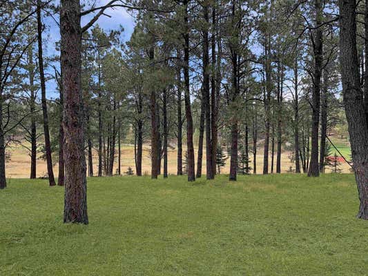 LOT 1133 SPYGLASS HILL RD, ANGEL FIRE, NM 87710 - Image 1