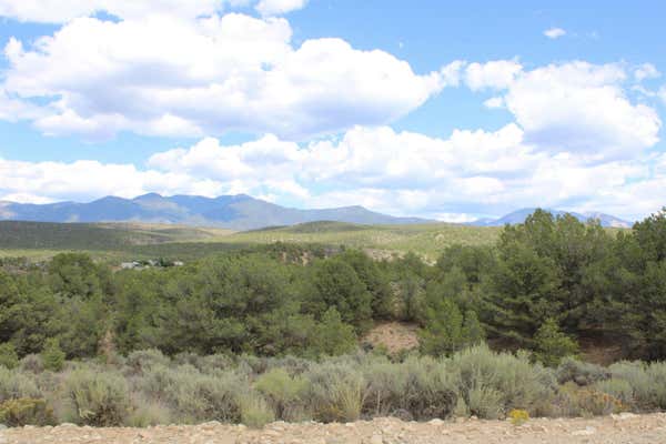 TRACT 12 TREMENTINA ROAD, ARROYO HONDO, NM 87513, photo 5 of 17