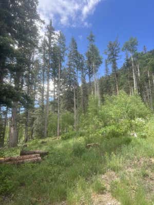 LOT 3A TWINING, TAOS SKI VALLEY, NM 87525 - Image 1