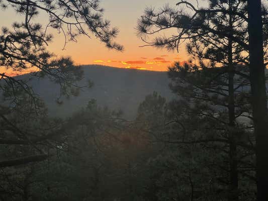 141 AFV N BACK BASIN ROAD, ANGEL FIRE, NM 87710, photo 3 of 15