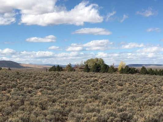 TR A RABBIT RIDGE RD, ARROYO HONDO, NM 87513, photo 3 of 7