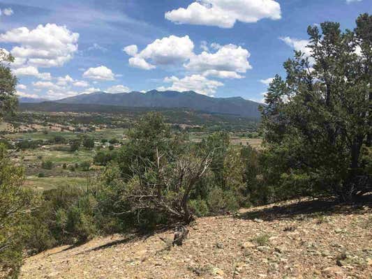 1 PT 4 MILES ACEQUIA MADRE DEL LLANO B006, ARROYO HONDO, NM 87513, photo 2 of 3