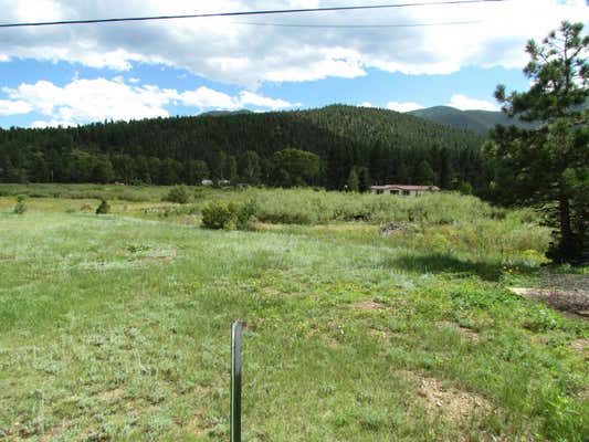 29794 HIGHWAY 64, UTE PARK, NM 87749, photo 4 of 30