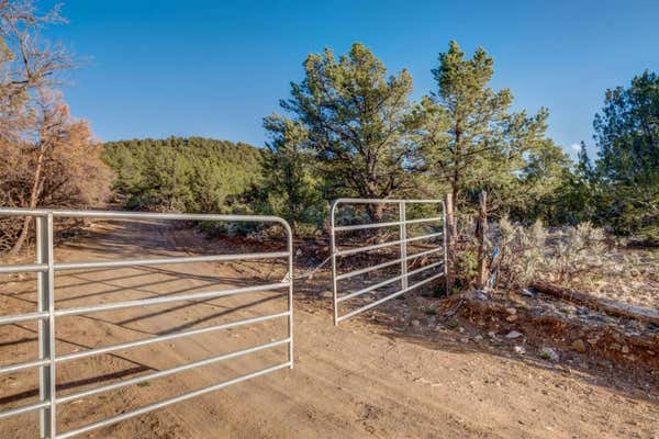 CAMINO MONTE AZUL THREE TERRACES, ARROYO HONDO, NM 87513 - Image 1