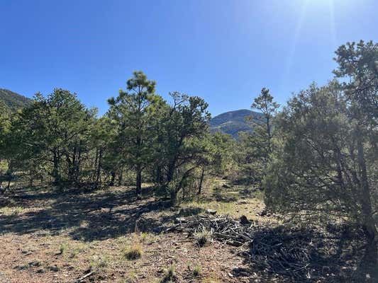 ROBERTO LANE, ARROYO SECO, NM 87514 - Image 1