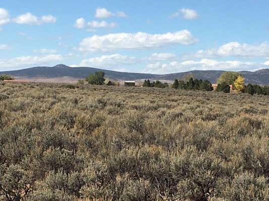 TR A RABBIT RIDGE RD, ARROYO HONDO, NM 87513 - Image 1