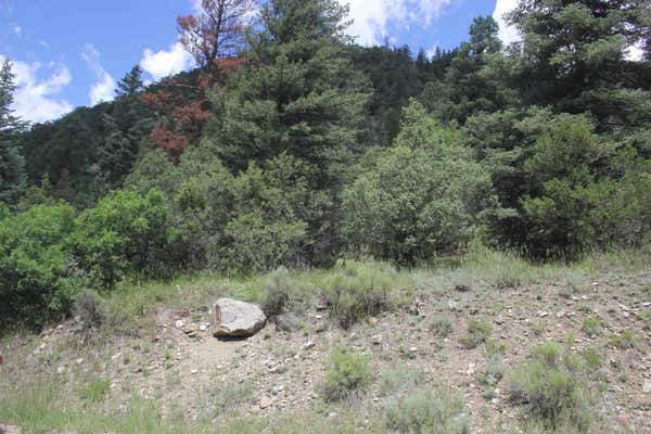 12 ACRES CABRESTO CANYON, QUESTA, NM 87556 - Image 1