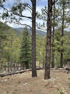 TBD BEAR RUN RD, GUADALUPITA, NM 87722 - Image 1