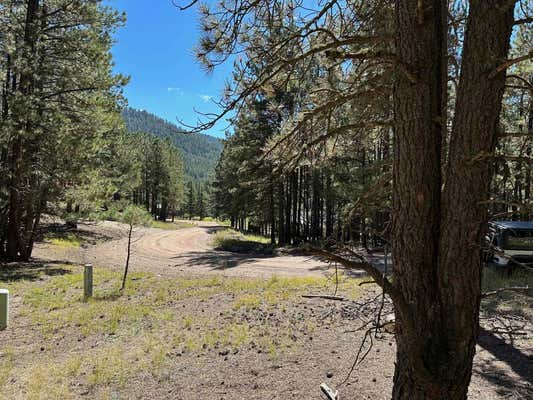 LOT 7 BLK D ST ANDREWS WAY, ANGEL FIRE, NM 87710 - Image 1