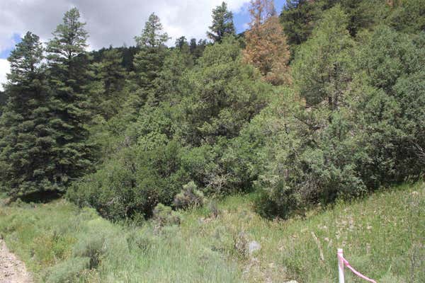 5 ACRES CABRESTO CANYON, QUESTA, NM 87556 - Image 1