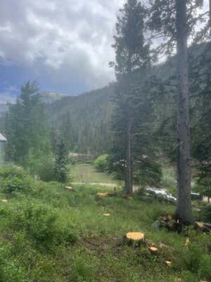 LOT 3A TWINING, TAOS SKI VALLEY, NM 87525, photo 3 of 24