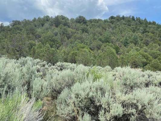 HWY 196 AMALIA, AMALIA, NM 87512 - Image 1