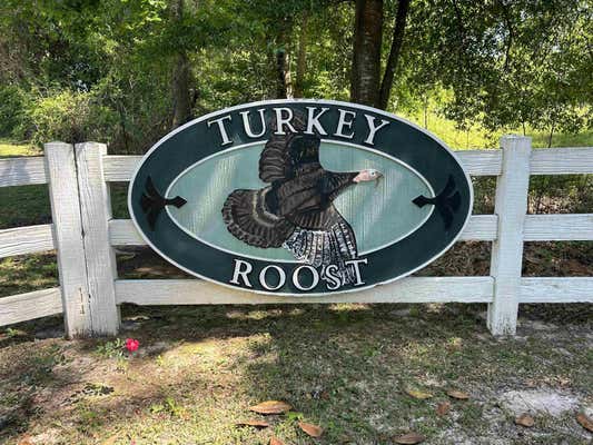 0 TURKEY ROOST ROAD, TALLAHASSEE, FL 32317 - Image 1