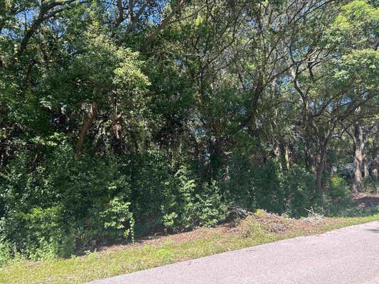 XXX NW 6TH STREET, CARRABELLE, FL 32322 - Image 1