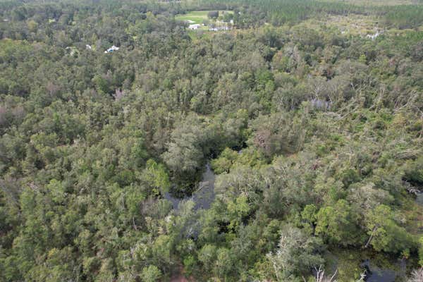 TBD, MAYO, FL 32066 - Image 1